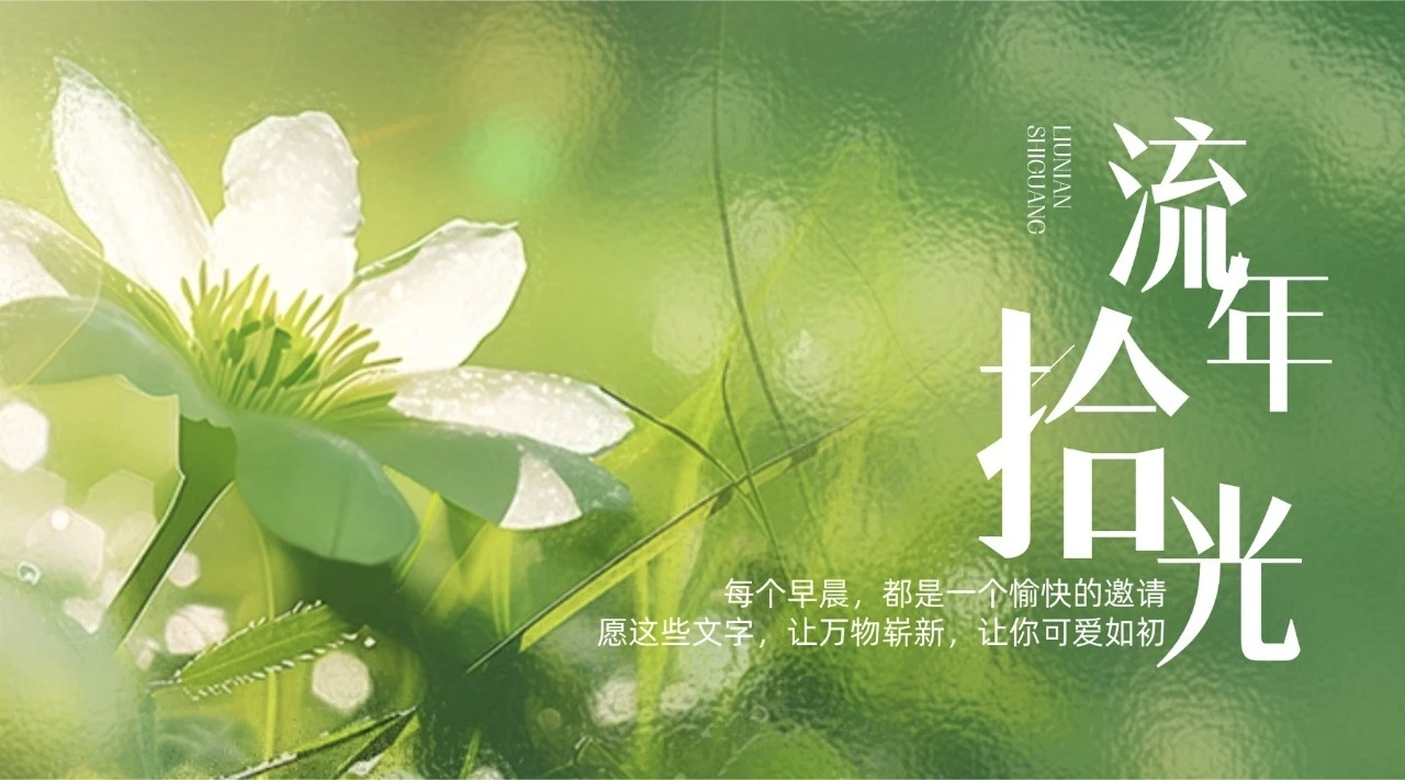 6G图片
